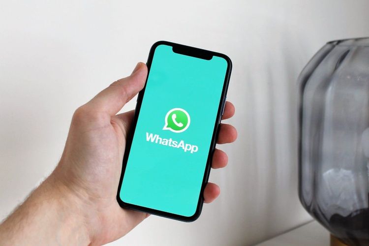 WhatsApp居然有3个版本？深度详解区别